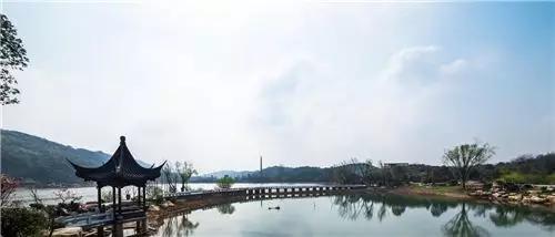 @岳阳所有人！2019年这13件事，你一定要做