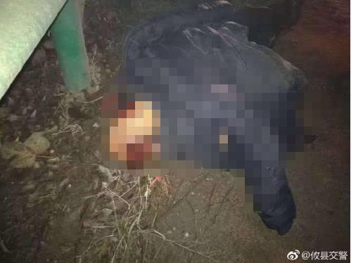株洲网岭镇人口多少_版权所有 网岭镇人民政府 未经许可 不得转载 地址:株洲(3)