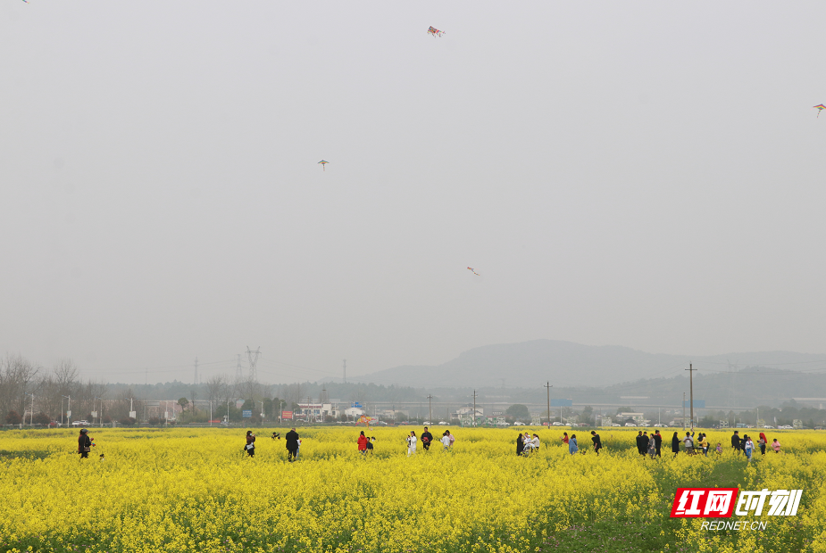 网红风筝秀引来众多游客和市民朋友参与。