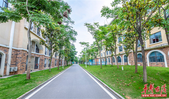 学校校内道路。