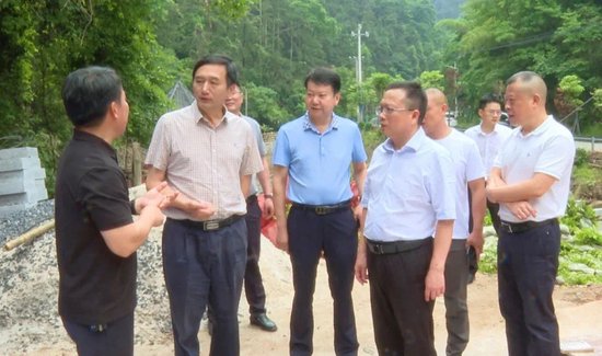 省文旅厅资源开发处、衡阳市人民政府、衡阳市文旅广体局相关负责人参加调研。