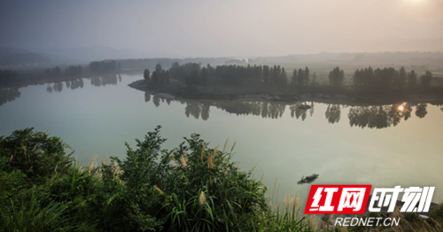 邵阳隆回小小柏木赶跑30万亩“穷山恶水”