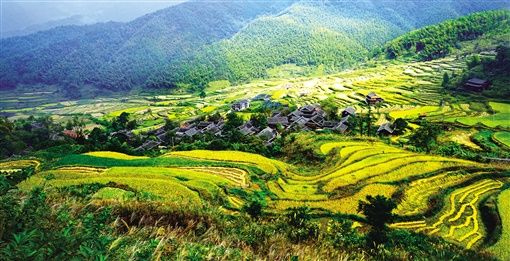 绥宁黄桑国家级自然保护区一景。
