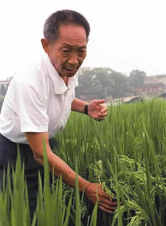 “杂交水稻之父”袁隆平