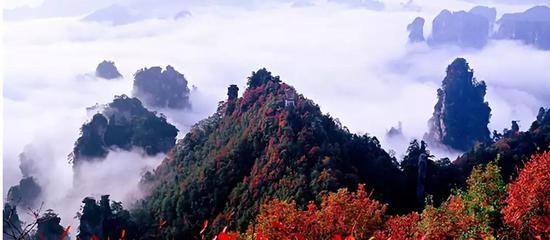 △图片来源：湖南省旅游发展委员会官网