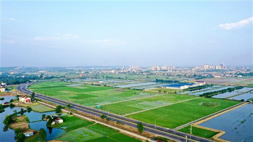 5月27日,桃源县陬市镇,成片的高标准农田映入眼帘,袁隆平第三代杂交水稻高产攻关基地也在其中。卜云 摄