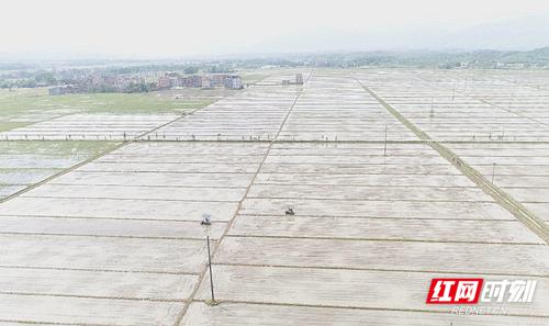 目前，常宁市完成机插秧6万亩。