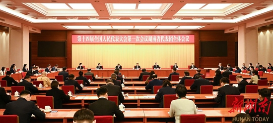 湖南代表团举行第一次全体会议 推选张庆伟为团长，毛伟明等为副团长