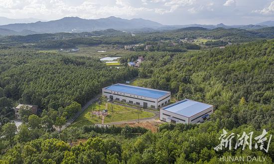 (8月22日,永州市冷水滩区麦子园村,占地2000多平方米的麦子园泡菜厂成了村里一道靓丽风景线。湖南日报·华声在线记者 辜鹏博 摄)