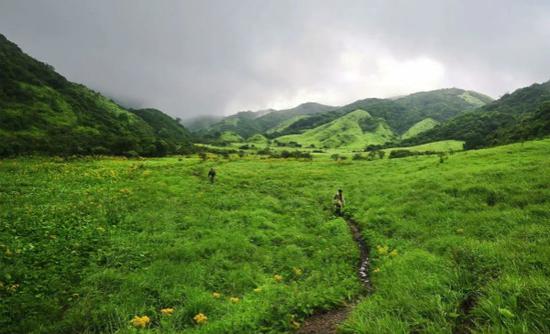 高山台地草甸。蒋祥进摄