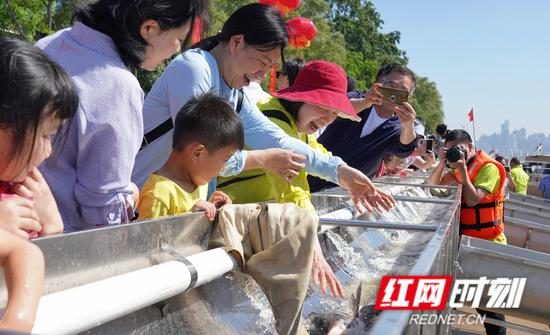 现场向湘江放流鱼种 “四大家鱼”、珍稀鱼类及底栖动物8032万尾。