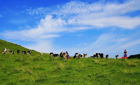 城步苗族自治县南山牧场。 城步县委宣传部供图