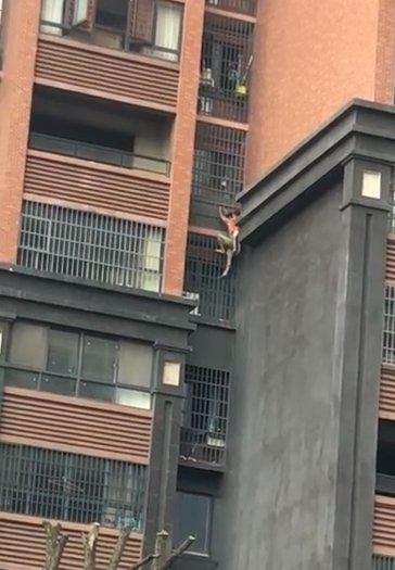 惊险！长沙一高层住宅起火浓烟滚滚 爷爷背着孙子爬外墙逃生