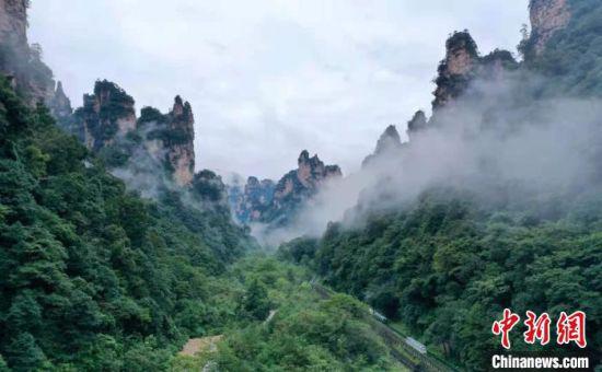 张家界武陵源向全国师生送福利。 吴勇兵 摄