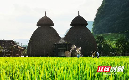 网友纷纷打卡“网红”厕所。