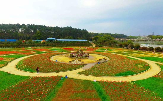 快讯丨2020年1月1日起 湖南省植物园正式免费开放