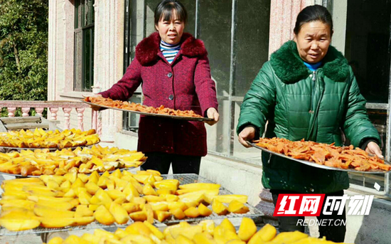 隆回县脱贫户的红薯片产业。