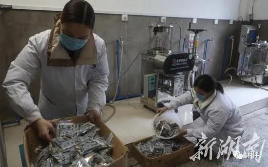 2月6日,东安县中医院药制人员在中药房将熬制好的中药塑封打包。严洁 摄