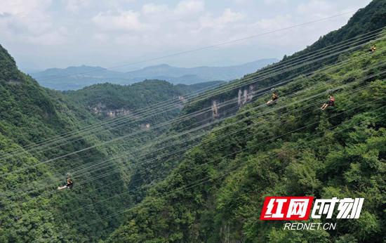 2020年7月30日,游人在张家界大峡谷景区体验高空滑索游览项目。