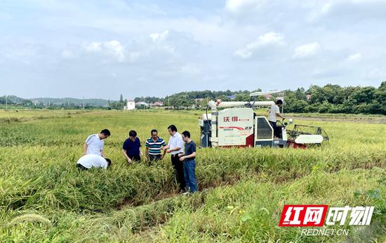 省农科院专家到长沙县服务指导早稻生产。