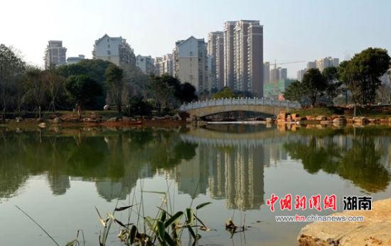 长沙市大力实施造绿行动 全市绿地总量达1.3万公顷