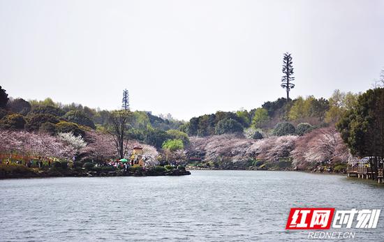 湖南省森林植物园。