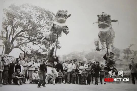 ▲1983年，白羊田鲁公坡天狮舞传人在当地表演时的场景
