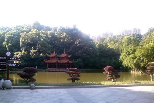 △南郊公园内景(图源网络)
