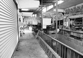 长沙市花鸟鱼宠物市场快要搬迁 将迁至金霞苑