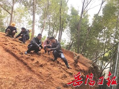 岳州窑青瓷龙窑发掘现场 余慧敏 摄