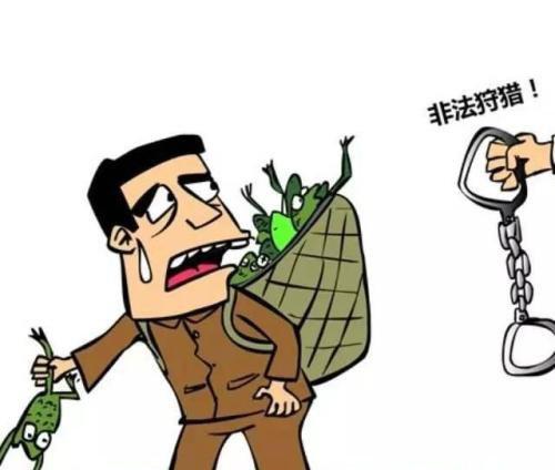(网络图片)
