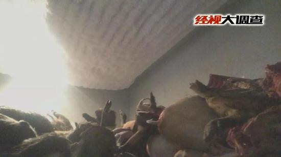 慈利餐馆热销麂子火锅 农贸市场公然销售