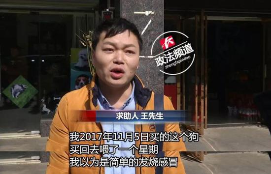 疑买到 “ 星期狗 ”