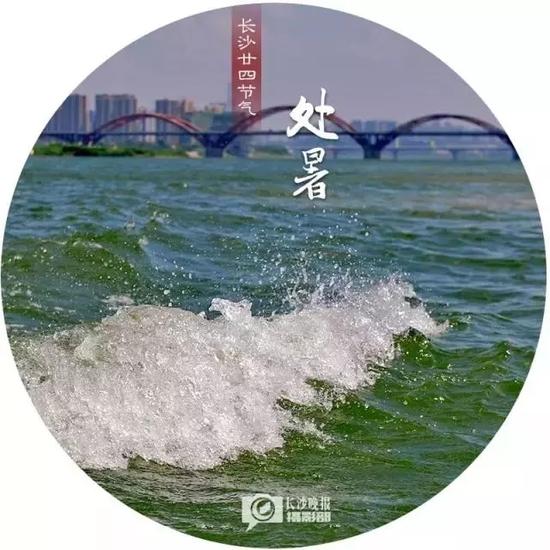 层层绿荫下的白沙古井公园,