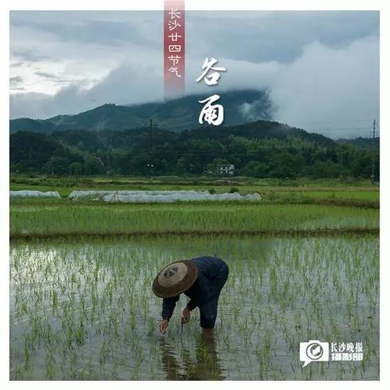 立夏(5月5日)