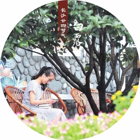 秋分(9月23日)