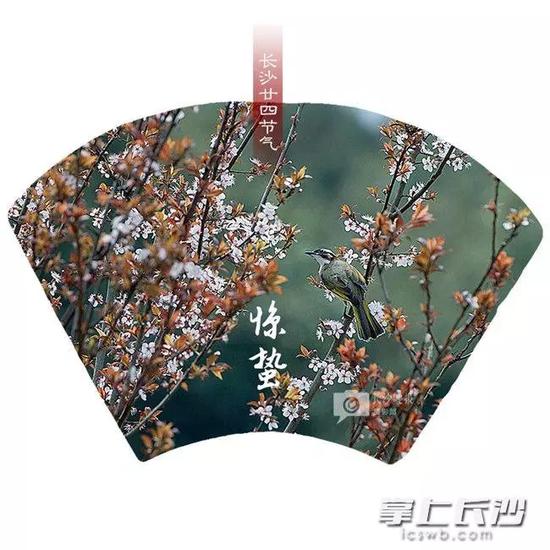 春分(3月20日)