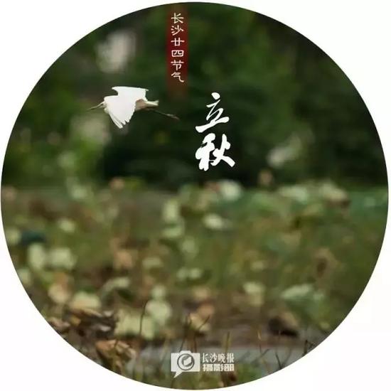 处暑(8月23日)