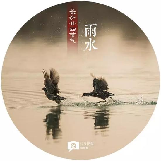 惊蛰(3月5日)