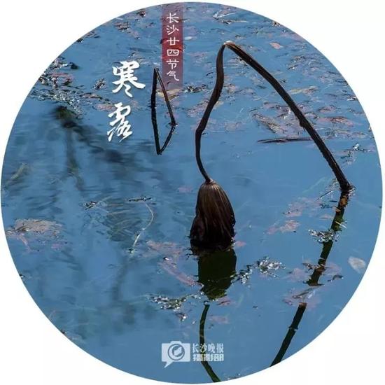 日落时分,官渡小镇田园中,