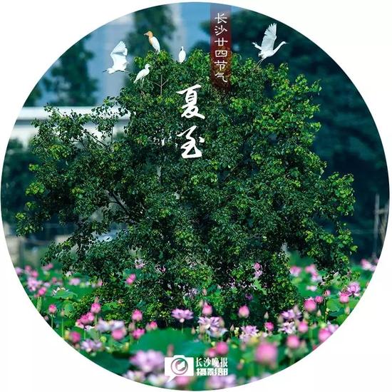 新一轮“三年造绿大行动”中,