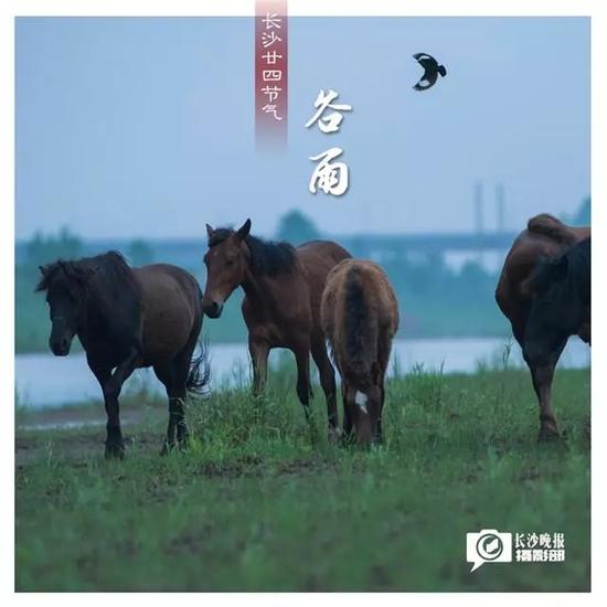 缭绕的山丘下,