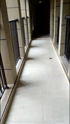 墙壁开裂、手一碰玻璃就掉…长沙钰龙天下业主：花钱买罪受