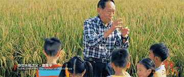 (动图来源 《青春湖南》)