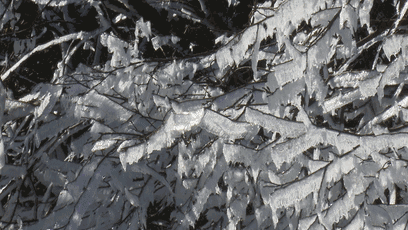 视频丨心动！湖南这些超迷人雾凇观赏地你知道几个