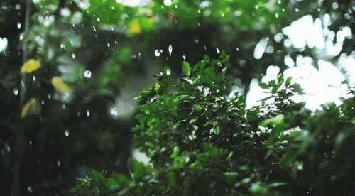 湖南省气象台发布暴雨黄色预警,预计6月8日20时至9日20时,长沙东部、株洲、湘潭、衡阳、邵阳南部、岳阳、永州北部、娄底东南部部分地区将出现暴雨,其中衡阳局地大暴雨,并伴有雷暴、雷雨大风等强对流天气。