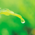夏季“没胃口”？皆是“湿邪”惹的祸