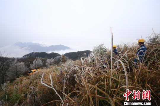 12月6日,湖南气温陡降,“湖南屋脊”壶瓶山地区覆盖上一层薄冰。当地电力员工在一处覆冰地段进行巡查,积极应对低温雨雪天气。 易长龙 摄