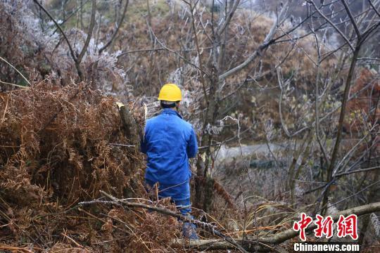 湖南常德石门县供电公司壶瓶山供电所“电骡子”共产党员服务队对泥峰线北山一号支线覆冰地段进行巡查,积极应对低温雨雪天气。 易长龙 摄