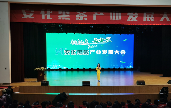 3月18日,2021年安化黑茶产业发展大会在湖南省安化县举行